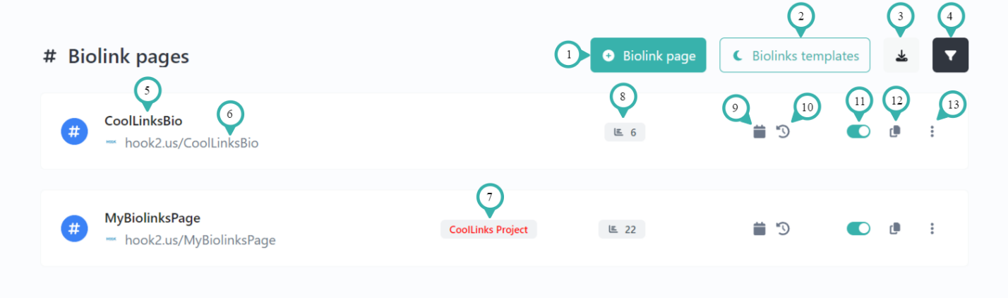 Hook2.us biolink pages page. Details are explained below the image.
